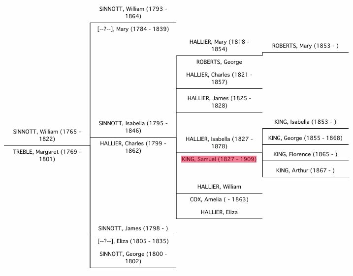 Sinnott family tree diagram